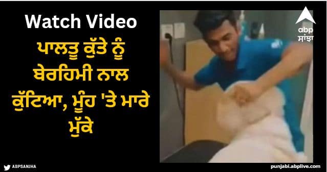 dog beaten brutally by pet clinic staff in thane video viral Viral Video: ਪਾਲਤੂ ਕੁੱਤੇ ਨੂੰ ਬੇਰਹਿਮੀ ਨਾਲ ਕੁੱਟਿਆ, ਮੂੰਹ 'ਤੇ ਮਾਰੇ ਮੁੱਕੇ