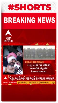 Delhi Farmer Protest | ‘મેરે હાથ મેં ઔર આંખ મેં છરે લગે હૈ સર...પોલીસ વાલોને ડિરેક્ટ ગોલી હીટ કરી’