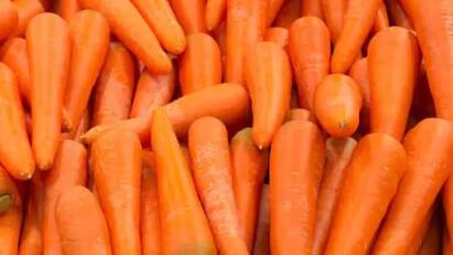 Vegetables price list february 14 2024 chennai koyambedu market Vegetable Price: கடுமையாக உயர்ந்த கேரட் விலை.. சற்றே சரிந்த பூண்டு.. மற்ற காய்கறிகளின் விலை பட்டியல் இதோ..