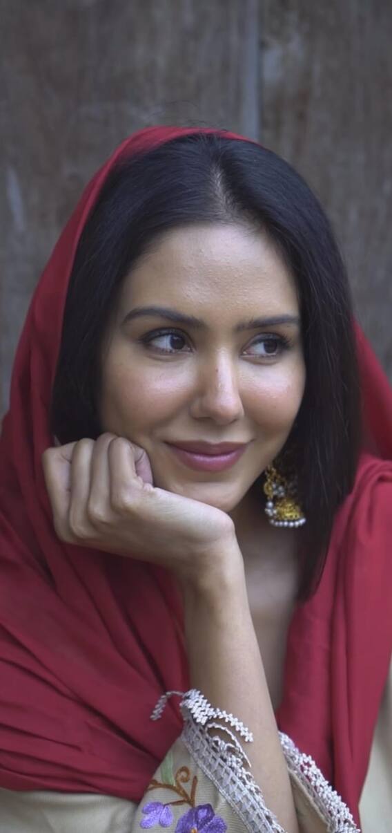 2024 'ਚ ਕਰੋੜਾਂ 'ਚ ਖੇਡ ਰਹੀ ਸੋਨਮ ਬਾਜਵਾ