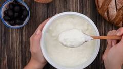 Health Tips: चीनी की जगह नमक मिलाकर खाते हैं दही तो पढ़ लीजिए यह खबर