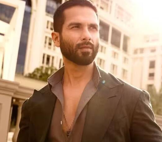 શાહિદ પાસે મુંબઈના વર્લી વિસ્તારમાં એક ખૂબ જ લક્ઝુરિયસ ડુપ્લેક્સ પણ છે, જેની કિંમત 56 કરોડ રૂપિયા હોવાનું કહેવાય છે. અભિનેતાની નેટવર્થની વાત કરીએ તો શાહિદ કુલ 300 કરોડ રૂપિયાનો માલિક છે.