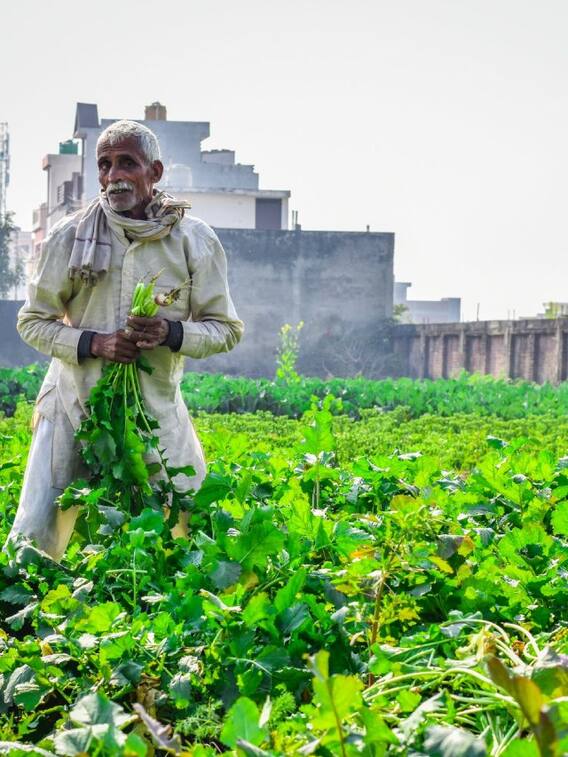 बिहार में सबसे ज्यादा पैदा होती हैं ये 6 चीजें