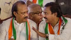 लोकसभा चुनाव से पहले अजित पवार गुट का बड़ा बयान, कहा- 'NDA में शामिल होने के फैसले से कोई...'