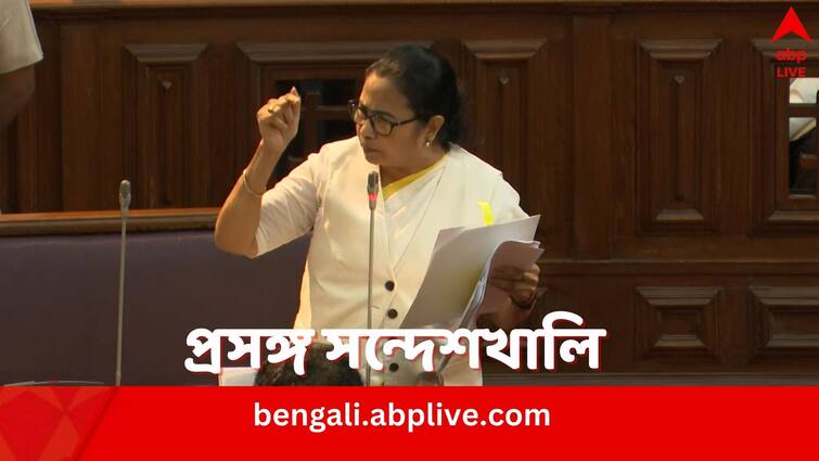 West Bengal CM Mamata Banerjee says BJP RSS played Crucial role in Sandeshkhali Violence Mamata Banerjee: সন্দেশখালি RSS-এর ঘাঁটি, বাইরে থেকে লোক এনে অশান্তি, দাবি মমতার