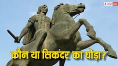 महाराणा प्रताप के घोड़े का नाम चेतक था, सिकंदर के घोड़े का नाम पता है?