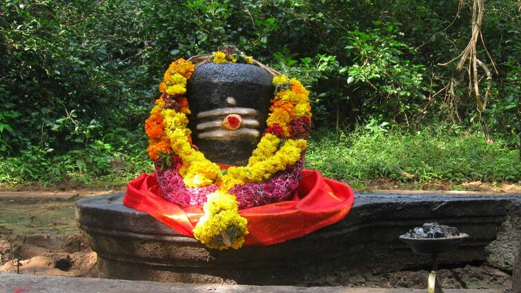 Maha Shivaratri 2024 Lord Shiva Temples in Chennai Sivan Kovil Chenn Lord Shiva: பக்தர்களே! சென்னையில் இத்தனை சிவாலயங்களா? பட்டியலை பாருங்க