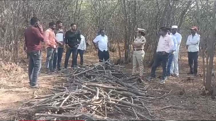 Pune news daund News Forest crime   Daund forest range officer Kalyani Godse suspended know details Daund News : दौंड वनपरिक्षेत्र अधिकारी कल्याणी गोडसे निलंबित; नेमकं काय आहे प्रकरण?