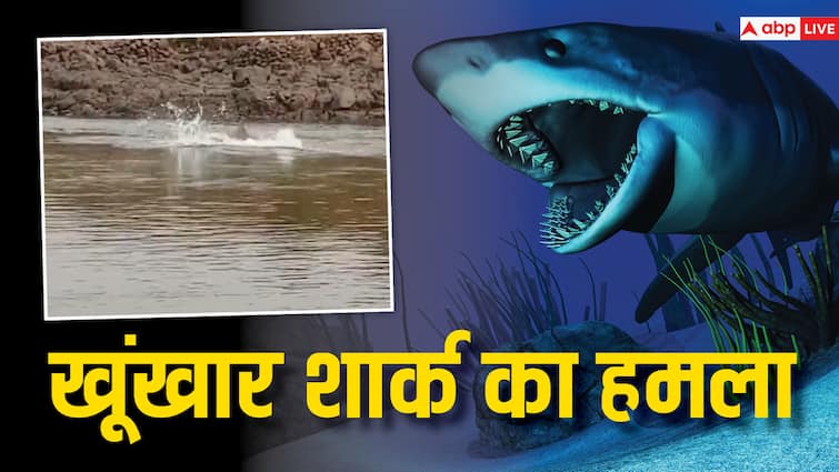 Shark Attack in Maharashtra fisherman injured Vaitarna river Palghar Shark Attack: मछली पकड़ रहे युवक पर शार्क ने किया अटैक, चबाया पैर, ग्रामीणों ने कुछ ऐसे बचाई जान