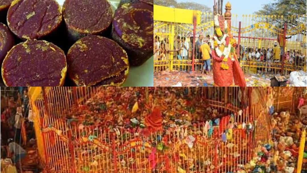 Medaram Jatara Prasadam Delivered At Doorsteps Through TSRTC Medaram Prasadam: ఇంటి ముందుకే మేడారం ప్రసాదం-ఎలా బుక్‌ చేసుకోవాలంటే..