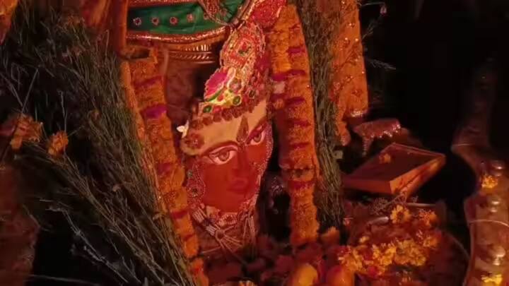 বসন্তের প্রতীক হিসবে সরস্বতী দেবীকে সরষে ফুল দিয়ে পূজা করা হয়, ঠিক সেভাবেই ভস্ম আরতির পর মহাকালকেও সরষে ফুল নিবেদন করা হয়। ছবি- এবিপি লাইভ