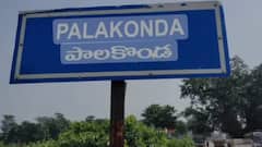 పాలకొండ ఎప్పుడూ కీలకమే - ఈసారి ఎన్నికల్లో ఇక్కడ ఏ జెండా ఎగిరేనో?