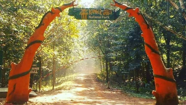 Kanger Valley National Park Campaign To Save Natural Resources Chhattisgarh News Ann Chhattisgarh News: कांगेर वैली नेशनल पार्क में प्राकृतिक संसाधनों से संवरेगी स्थानीय ग्रामीणों की जिंदगी, प्रबंधन का ये है नया प्लान