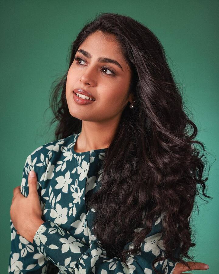 సినిమాల్లోకి రాకముందుకు ఫరియా అబ్దుల్లా మోడలింగ్, థియేటర్ ఆర్టిస్ట్ గా, యూట్యూబర్ గా కొనసాగింది. ఎప్పుడూ సోషల్ మీడియాలో యాక్టివ్ గానే ఉంటుంది.