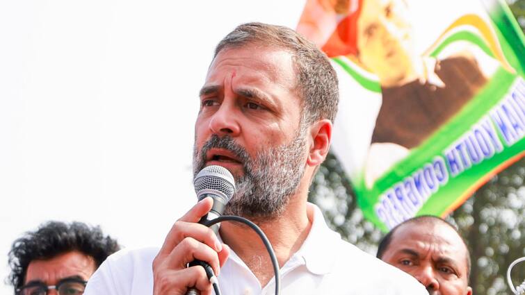 In Relief For Congress Frozen Bank Accounts Now Working After Rahul Tweet முடக்கப்பட்ட காங்கிரஸ் வங்கிக் கணக்குகள்; தற்காலிகமாக செயல்பட வருமானவரித்துறை தீர்ப்பாயம் ஒப்புதல்
