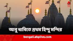 PM Modi: আবু ধাবিতে প্রথম হিন্দু মন্দির, উদ্বোধন মোদির হাতে