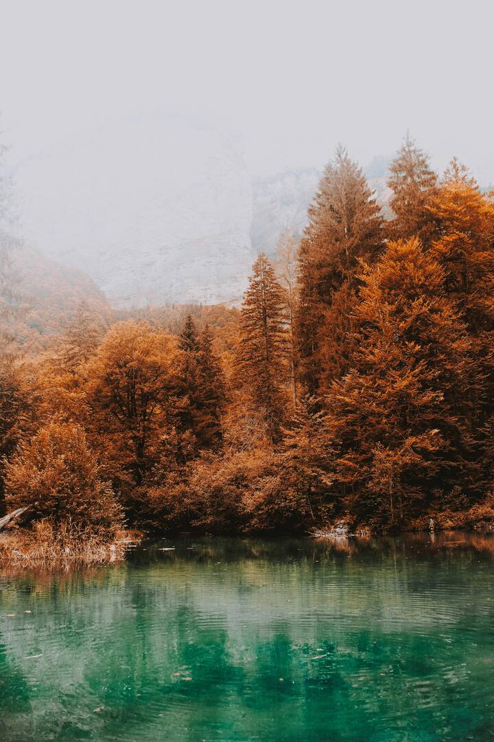 कुछ वैज्ञानिकों का मानना है कि इस तालाब के नीचे दुनिया का सबसे बड़ा अंडरग्राउंड वॉटर केव सिस्टम हो सकता है, लेकिन अभी येे कंफर्म नहीं हो पाया है कि वो है भी या नहीं.