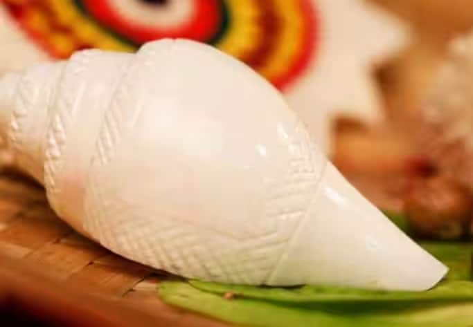 શંખમાં પાણી કે ચોખા કે ગંગાઘરમાં મૂકી રાખો. આમ કરવાથી તમારી બધી મનોકામનાઓ પૂર્ણ થાય છે.