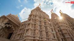 अबूधाबी के मंदिर में लगा है ये खास पिलर, मजदूरों को बनाने में लगा था एक साल