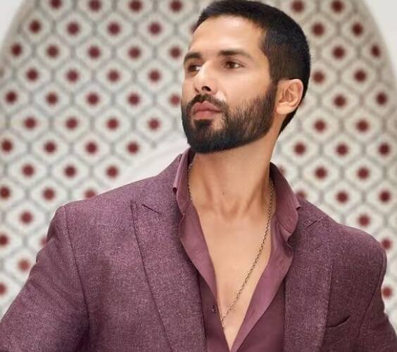 આ સિવાય શાહિદે ઘણા એવોર્ડ શો પણ હોસ્ટ કર્યા છે. શાહિદે ડાન્સ રિયાલિટી શો પણ જજ કર્યા છે. શાહિદ 'ઝલક દિખલાજા'ની આઠમી સીઝનમાં મલાઈકા અરોરા, ગણેશ હેગડે અને લોરેન્સ સાથે જજ તરીકે જોવા મળ્યો હતો.