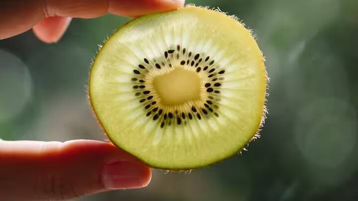 કિવી છોડને નિયમિત પાણી આપવાની જરૂર રહે છે. તેથી,  આ પ્લાન્ટને નિયમિત પાણી આપવાનું ચૂકશો નહિ