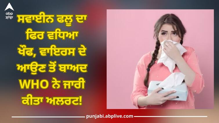 WHO warning for swine flu know virus causes symptoms and prevention abpp Swine Flu: ਸਵਾਈਨ ਫਲੂ ਦਾ ਫਿਰ ਵਧਿਆ ਖੌਫ, ਵਾਇਰਸ ਦੇ ਆਉਣ ਤੋਂ ਬਾਅਦ WHO ਨੇ ਜਾਰੀ ਕੀਤਾ ਅਲਰਟ!