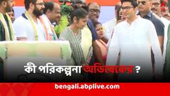 '১ মার্চ ও ২ মার্চ সরকারের তরফে প্রত্যেক অঞ্চলে সভা.', কী পরিকল্পনা অভিষেকের ?