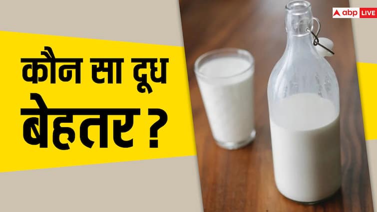 difference between cow and buffalo milk know which one is better for you गाय और भैंस के दूध में क्या है अंतर, जानें आपके लिए कौन सा बेहतर