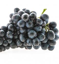 Black Grapes: ਅੱਖਾਂ ਦੀ ਸਿਹਤ ਤੋਂ ਲੈ ਕੇ ਸ਼ੂਗਰ ਦੇ ਮਰੀਜ਼ਾਂ ਤੱਕ ਫਾਇਦੇਮੰਦ ਕਾਲੇ ਅੰਗੂਰ