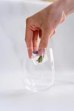 Apply Ice On The Face: बर्फ चेहऱ्यावर लावण्याची योग्य पद्धत माहीत आहे का ?