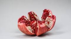 Pomegranate Cultivation: દાડમની ખેતી કરી દેશે માલામાલ, આ બાબતોનું રાખો ખાસ ધ્યાન