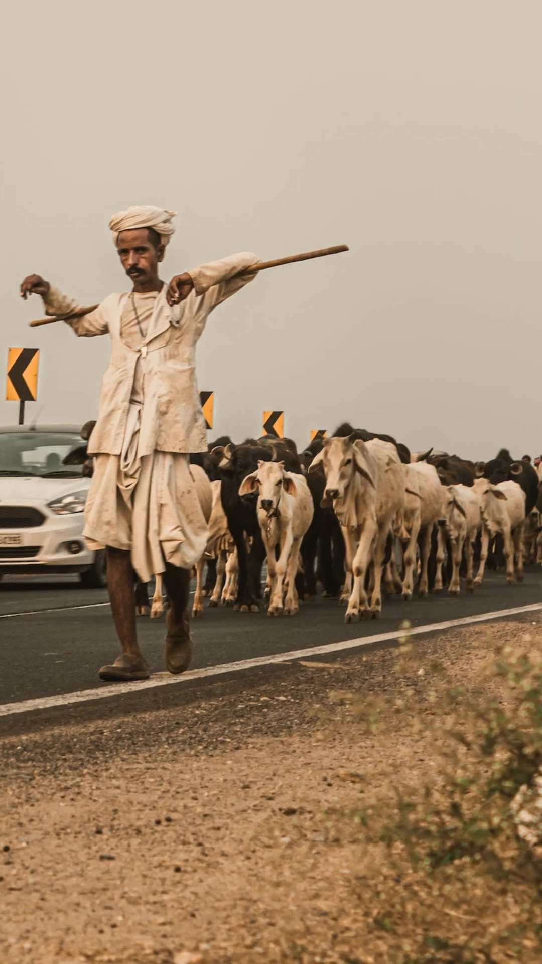 गुजरात अपनी विविधता और संस्कृति के