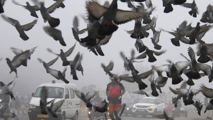 যদিও তাপমাত্রার তেমন কোনও বদল হয়নি। এদিকে আজ সকাল পেরোতেই দুপুরে বেশ গুমোট ভাব শহরের আকাশে বাতাসে।