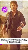Shahrukh Khan ने दिया Valentine's Day का Gift, Dunki हुई OTT पर रिलीज