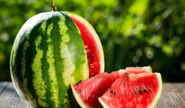 Which state is leading in watermelon production up agriculture news farmers टरबूज उत्पादनात अग्रेसर असणारी राज्य कोणती? 'या' 5 राज्यांमध्ये होते 70 टक्के उत्पादन