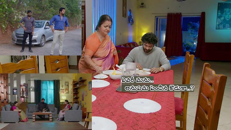 Guppedantha Manasu Serial  February 16th Episode 1001 Written Update Today Episode Guppedantha Manasu February 16th Episode: రిషికి థ్యాంక్స్ చెప్పిన వసు - మను పేరెత్తితే అనుపమకు ఎందుకు టెన్షన్!