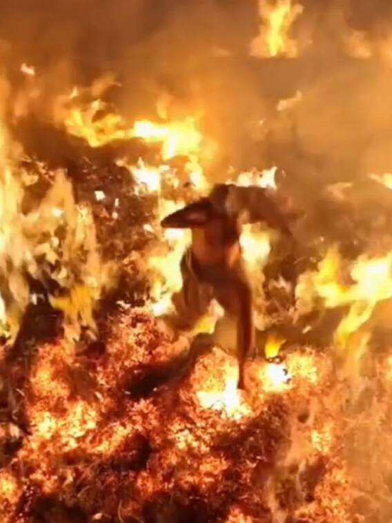 यूपी के इस गांव में जलती होली से गुजरता है शख्स