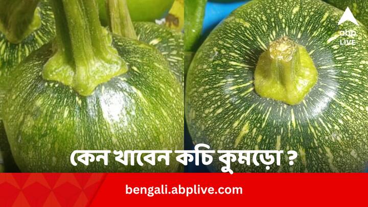 Green Pumpkin In Sugar Cholesterol: গোটা সিদ্ধ খাওয়ার সময় কচি কুমড়োর বেশ কদর বাড়ে। কিন্তু আরও বেশ কিছু কারণে এটি নিয়ম করে খাওয়া উচিত।