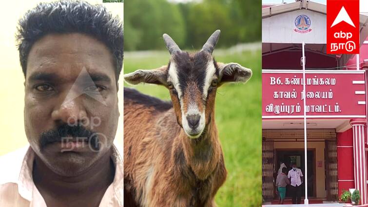 In Villupuram, the accused who stole a goat at night was caught red-handed by the police Crime: விழுப்புரத்தில் இரவு நேரத்தில் ஆடு திருடிய ஆசாமி - போலீசாரிடம் சிக்கியது எப்படி?