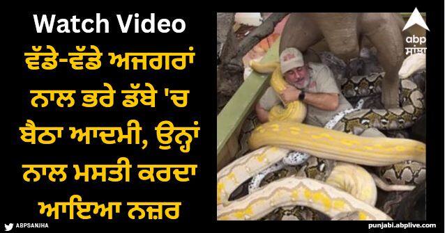 man sitting in a box full of huge pythons and having fun with them watch video Viral Video: ਵੱਡੇ-ਵੱਡੇ ਅਜਗਰਾਂ ਨਾਲ ਭਰੇ ਡੱਬੇ 'ਚ ਬੈਠਾ ਆਦਮੀ, ਉਨ੍ਹਾਂ ਨਾਲ ਮਸਤੀ ਕਰਦਾ ਆਇਆ ਨਜ਼ਰ, ਵੀਡੀਓ ਦੇਖ ਉੱਡ ਜਾਣਗੇ ਹੋਸ਼