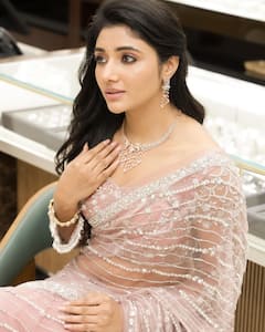 Mirna Menon Photos: నాగార్జునను అన్నయ్యా అని పిలిచిన ఈ హీరోయిన్ గుర్తుందా!