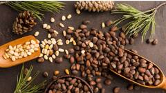 इस ड्राई फ्रूट की कीमत सुन कर हैरान हो जाएंगे...काजू, पिस्ता से भी ज्यादा है कीमत