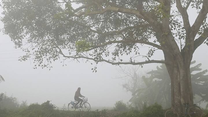 হাওয়া অফিস জানিয়েছে, পরিষ্কার আকাশ কোথাও কোথাও থাকতে পারে আংশিক মেঘলা আকাশ।