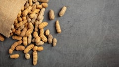 Health Tips: हद से ज्यादा मूंगफली सेहत के लिए हो सकता है खतरनाक