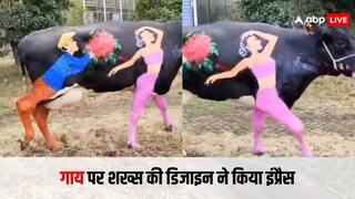 Video: वैलेंटाइन डे पर शख्स ने बनाया गजब का आर्ट, देखकर लोग हो गए हैरान, सोशल मीडिया पर दिया ऐसा रिएक्शन