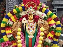 கரூரில் மாசி மாத கிருத்திகை முன்னிட்டு அழகன் பாலமுருகனுக்கு ராஜா அலங்காரம் - திரளான பக்தர்கள் சாமி தரிசனம்