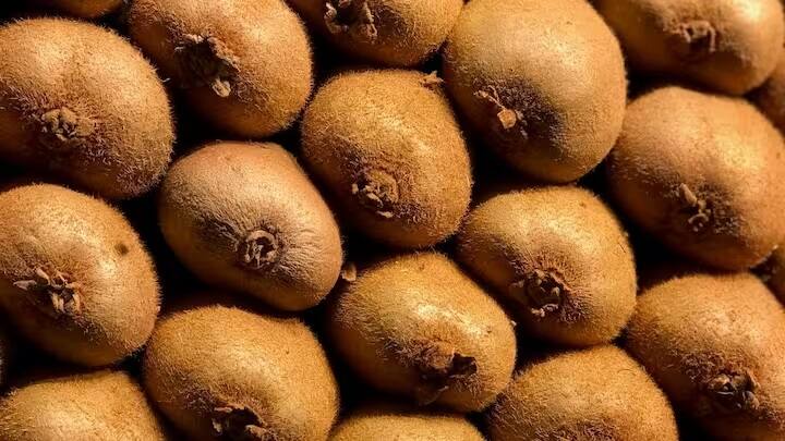 કિવિના પ્લાન્ટને સારી રીતે ગ્રો કરવા માટે સમય સમય પર ખાતરને બદલતા રહો.