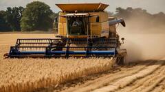 Highest production of wheat : भारतातील 'या' राज्यात गव्हाचे सर्वाधिक उत्पादन होते ? जाणून घ्या