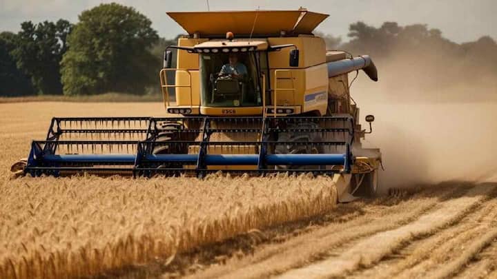 Highest production of wheat : भारतातील 'या' राज्यात गव्हाचे सर्वाधिक उत्पादन होते ? जाणून घ्या
