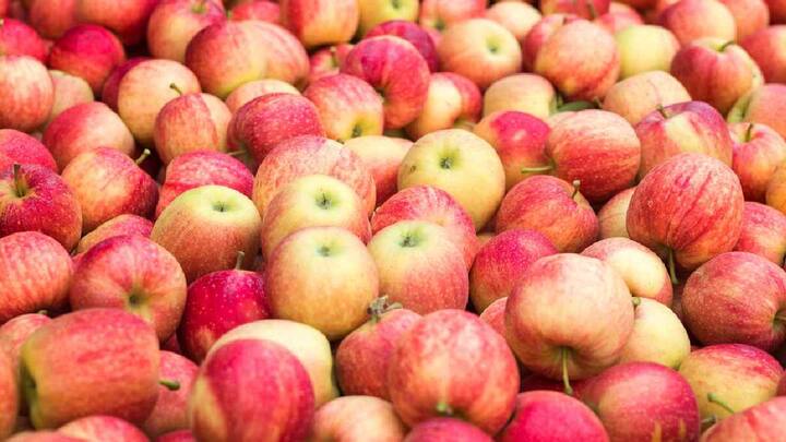 Apple Cost in America : अमेरिकेत सफरचंदाचे दर किती ,भारतापेक्षा स्वस्त आहे का? जाणून घ्या